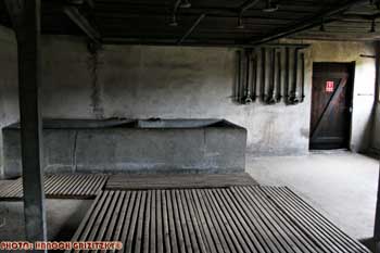 IMG_ (10827)